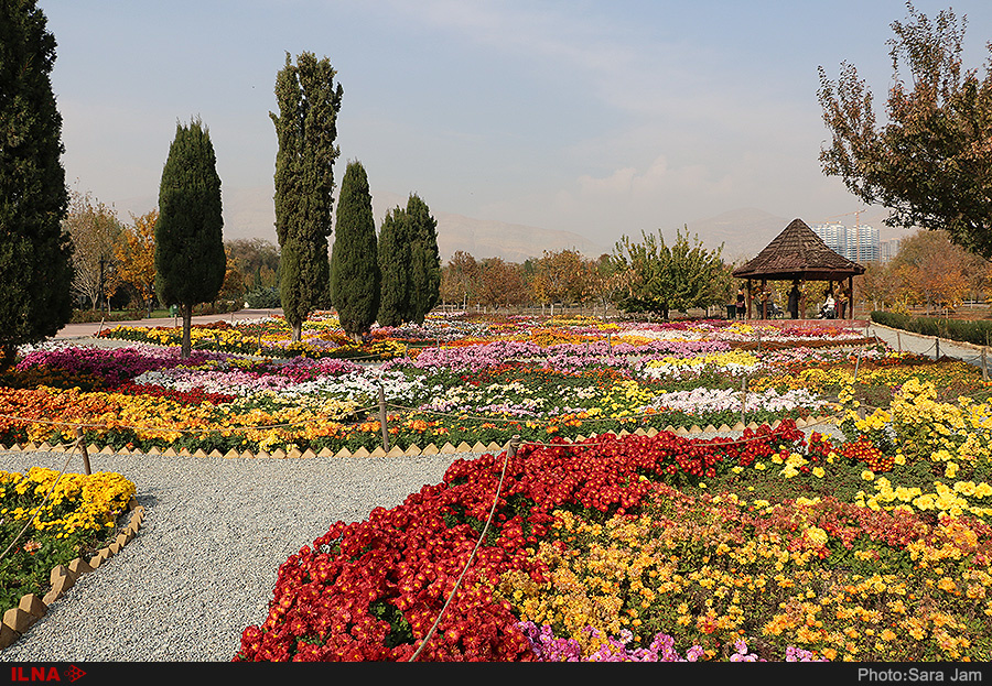 بهشتی برای عاشقان طبیعت در تهران