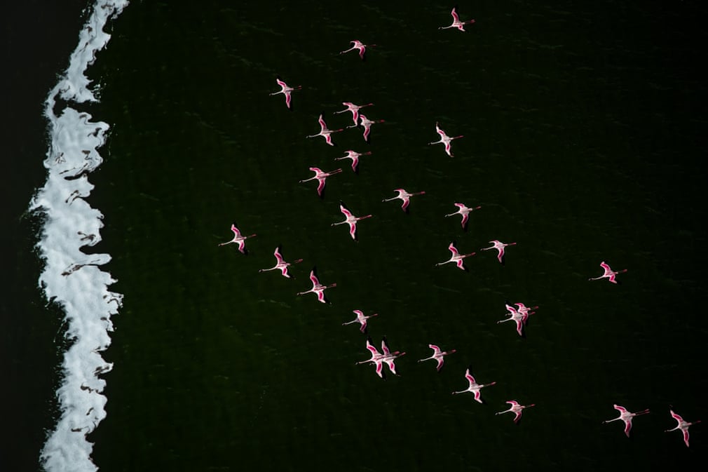 جایزه عکاسی هوایی ۲۰۲۰ / تماشای جهان از فراز آسمان