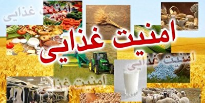 50 هزار خانوار تحت پوشش طرح امنیت غذایی/ قطع حمایت دولت در صورت خطای سرپرست!